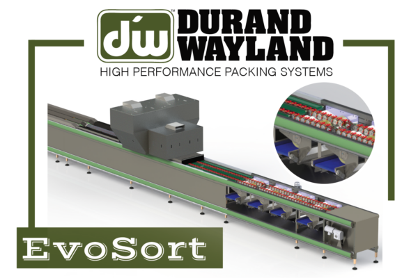 EvoSort EvoSort packing diagram