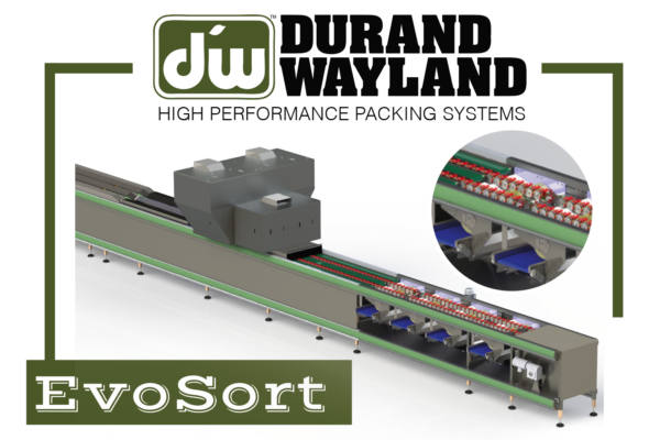 EvoSort packing diagram